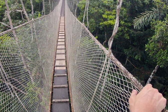 3-Day All Inclusive Guided Jungle Tour From Iquitos at Maniti Eco-Lodge - Wildlife Spotting Opportunities