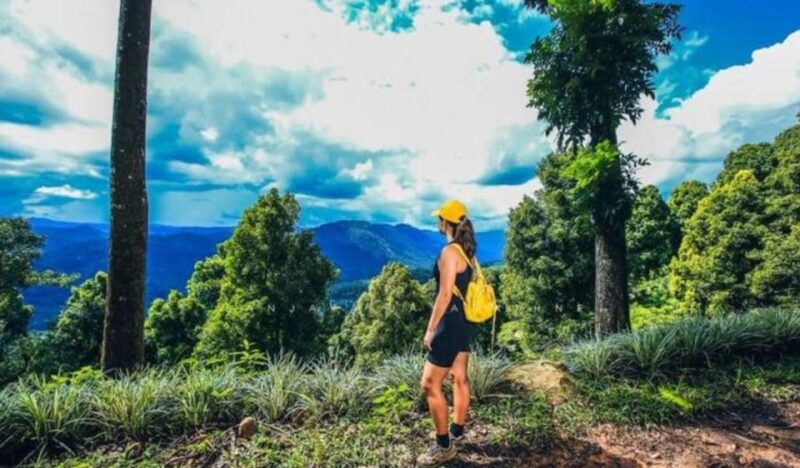 3-Day All-Inclusive Mobile Camping Wild Life Adventure - Itinerary Highlights