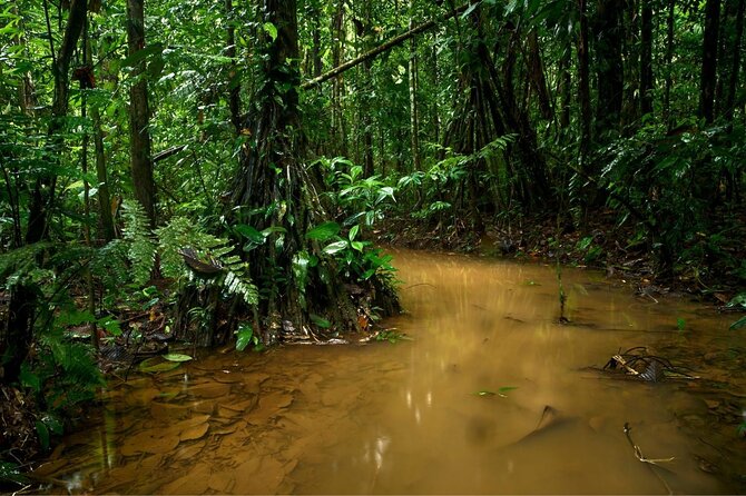 3 Day Amazon Jungle at Refugio Amazonas Lodge - Accommodation and Meals