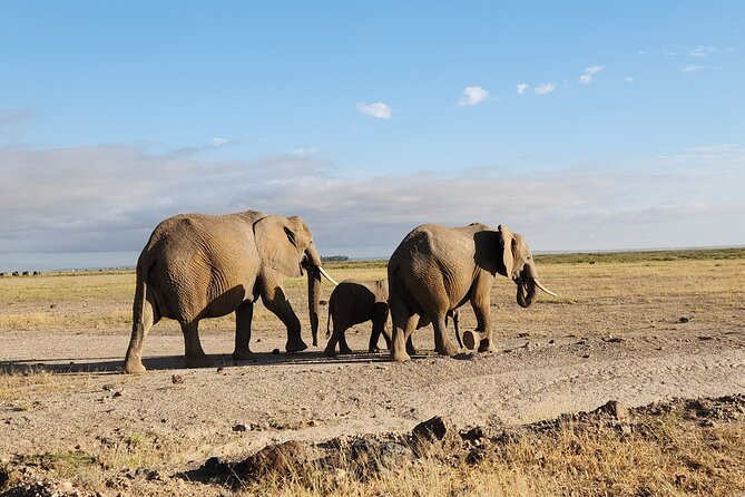 3-Day Amboseli National Park Safari Tour - Accommodation and Dining Options
