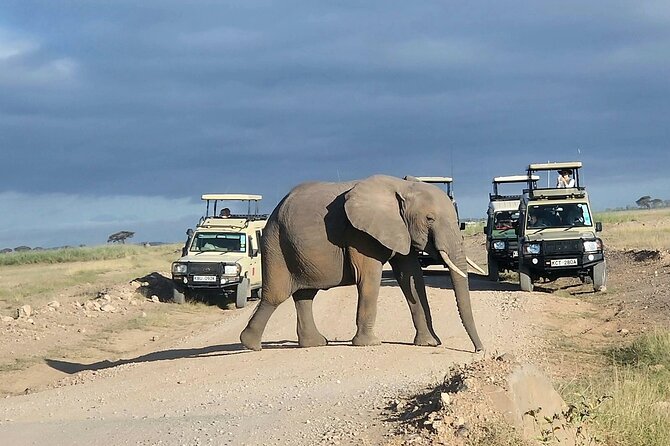 3-Day Amboseli National Park Safari Tour - Maasai Culture and Village Visit