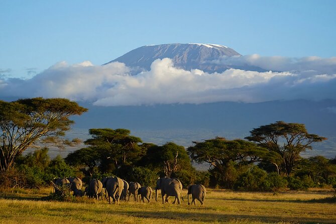 3-Day Amboseli National Park Safari Tour - Transportation and Accessibility Details