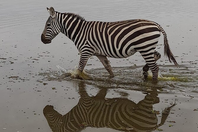 3-Day Amboseli Safari From Nairobi - Customization and Personalization