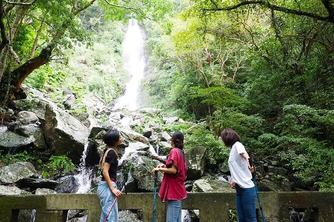 3-Day and 2-Night Amami Folksong Private Tour in Japan - Included in the Tour