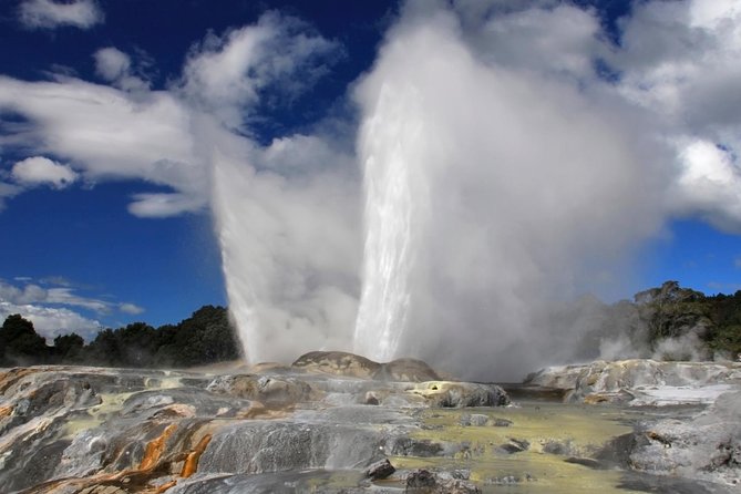 3-Day Auckland to Wellington Tour - Explore Glowworm Caves