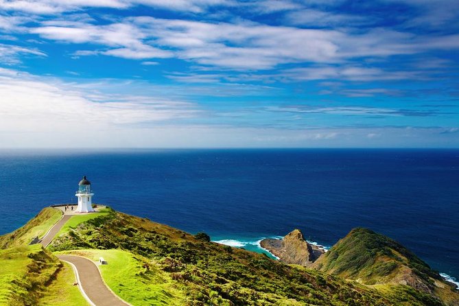 3-Day Bay of Islands Tour From Auckland - Scenic Drive Through Puketi Kauri Forest