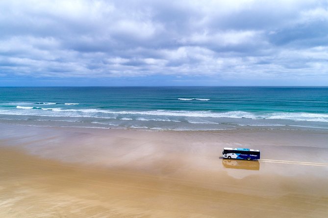 3-Day Bay of Islands Tour From Auckland - Traveler Feedback and Recommendations