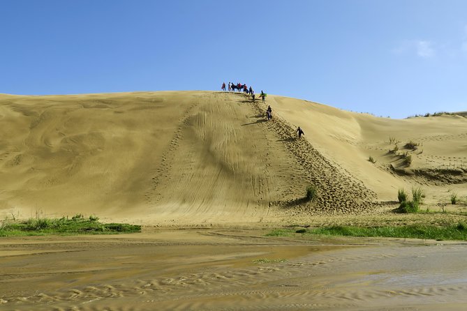 3 Day Bay of Islands Tour From Auckland Including Waitangi and Cape Reinga - Itinerary Highlights