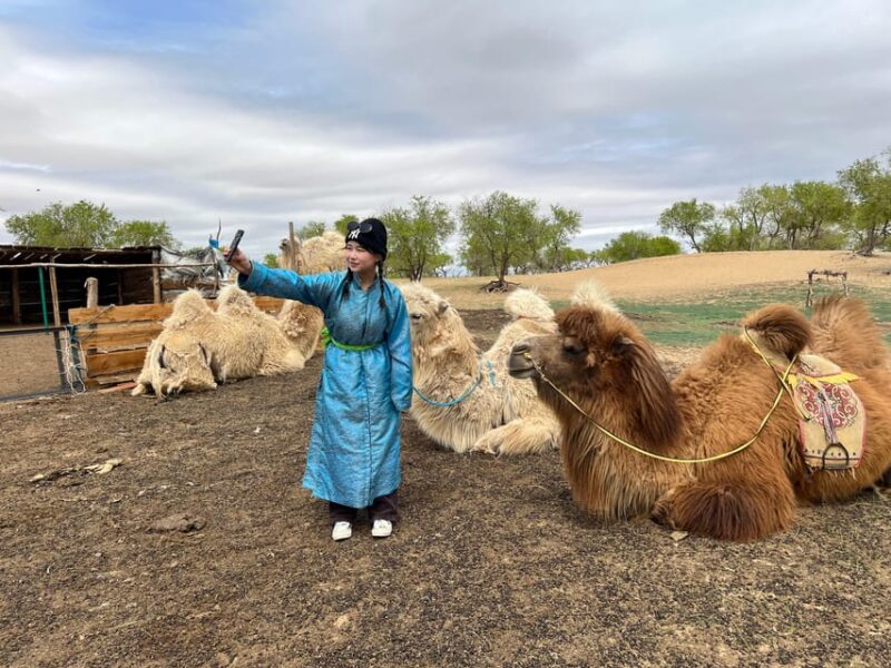3 Day Best of Central Mongolia Tour, Chinggis Khan Statue - Inclusions