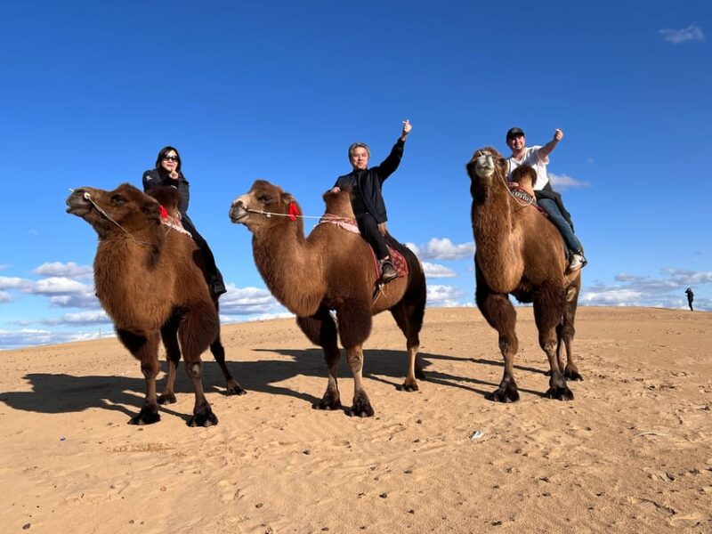 3 Day Best of Central Mongolia Tour, Chinggis Khan Statue - Important Information