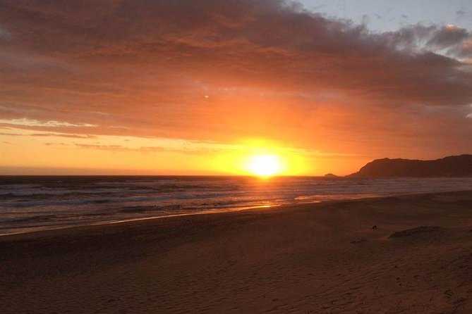 3 Day Big 5 and Bungee Tour - Garden Route Small Group Tour From Cape Town - Age and Fitness Requirements