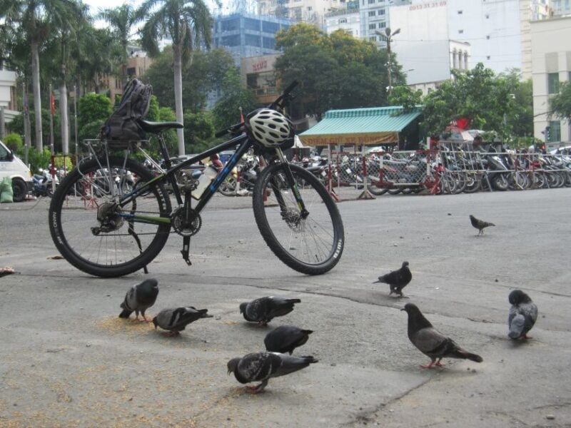 3-Day Bike Tour From Ho Chi Minh City to Phnom Penh - Accommodation and Inclusions