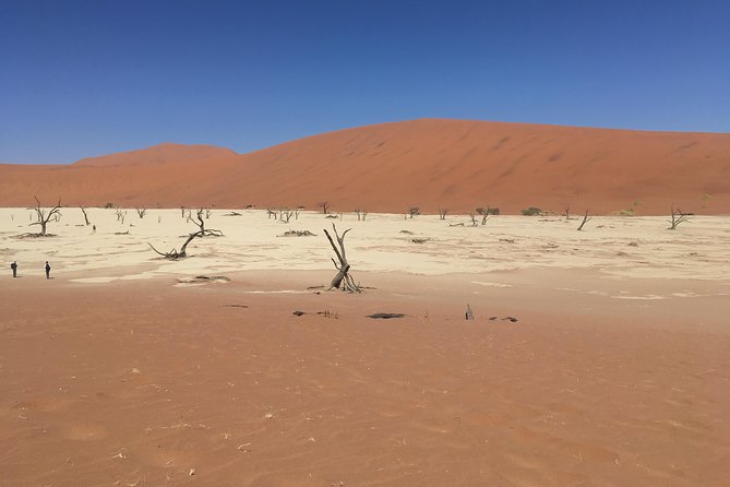 3 Day Camping Safari at Sossusvlei - Key Points