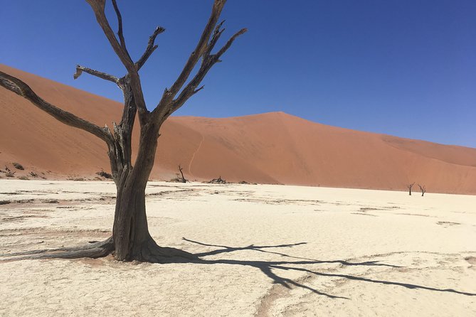 3 Day Camping Safari at Sossusvlei - Experiencing Namibian Culture