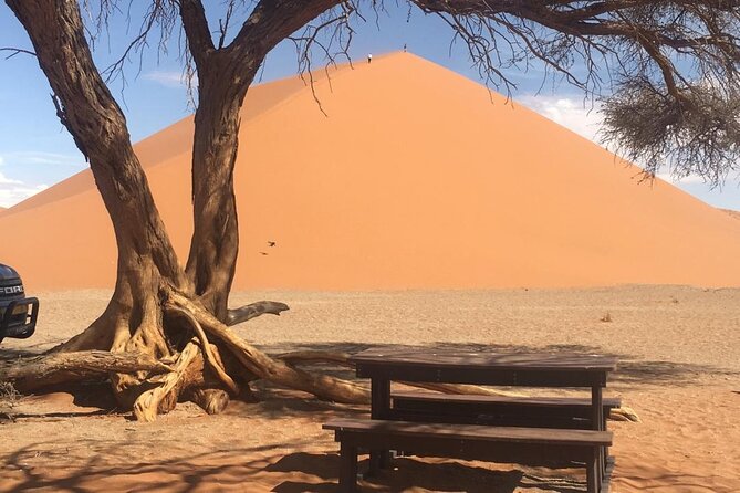 3 Day Camping Safari at Sossusvlei - Wildlife Encounters in the Desert