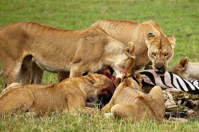 3-Day Camping Safari Tarangire, Lake Manyara & Ngorongoro Crater - Destinations