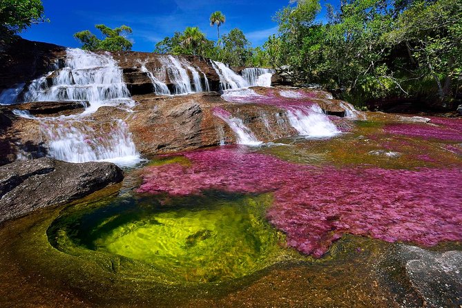 3-Day Caño Cristales (Rainbow River) From Bogotá - Key Points