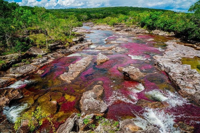 3-Day Caño Cristales (Rainbow River) From Bogotá - Customer Feedback