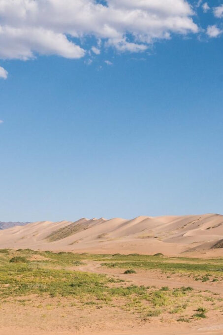 3 Day Central Mongolia Public Bus Tour - Group Size and Guide