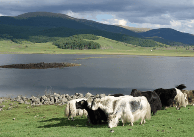 3 Day Central Mongolia Public Bus Tour - Frequently Asked Questions