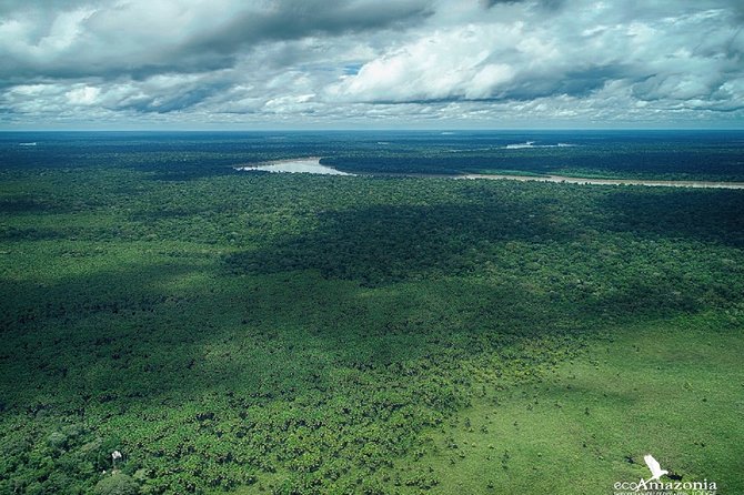 3-Day Charms of the Amazon Jungle in Tambopata - Positive Traveler Feedback