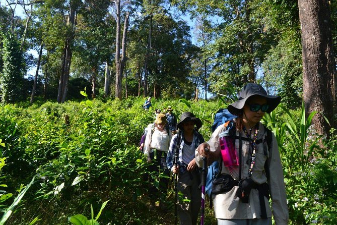 3-Day Chiang Dao Mountain Trek - Participant Feedback and Experiences