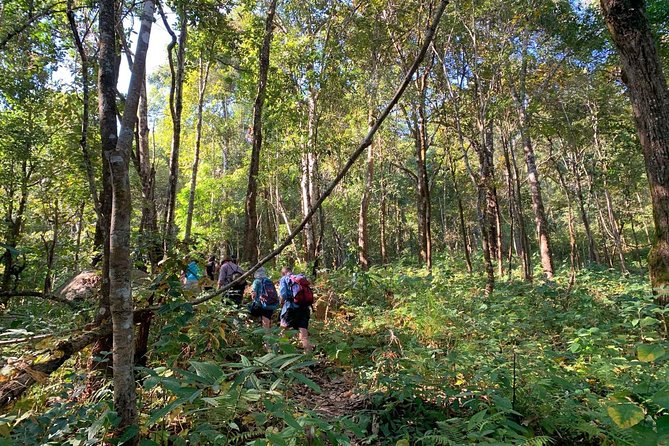 3-Day Chiang Dao Mountain Trek - Trek Highlights and Challenges
