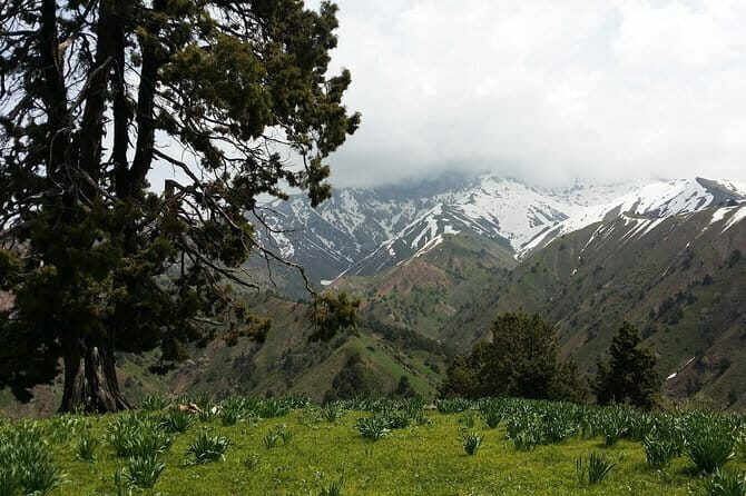 3-Day Chimgan Trekking Tour - An In-Depth Look at the 3-Day Chimgan Trekking Tour