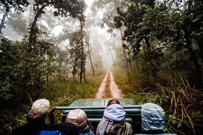 3 Day Chitwan Jungle Exploration Tour From Pokhara - Included Activities