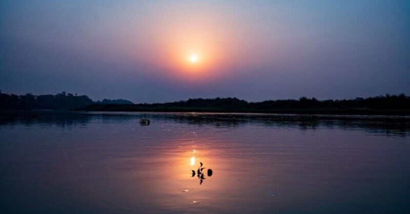 3-Day Chitwan Jungle Safari Adventure From Kathmandu/Pokhara - National Park and Conservation Efforts