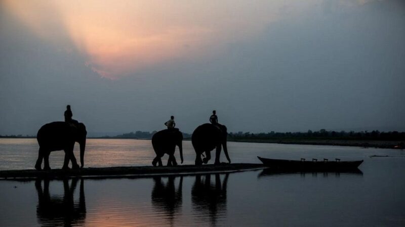 3-Day Chitwan Jungle Safari Adventure From Kathmandu/Pokhara - Cultural Immersion With Tharu Community