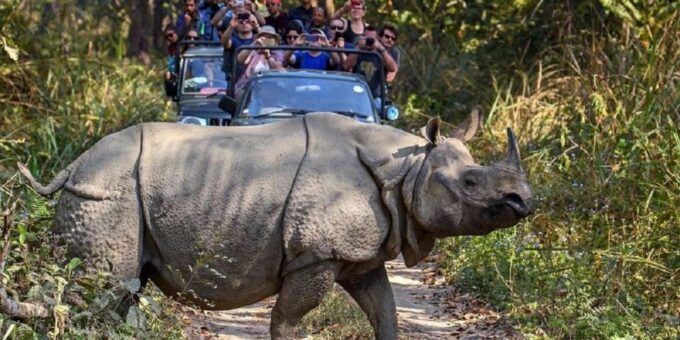 3-Day Chitwan Jungle Safari Adventure From Kathmandu/Pokhara - Transportation and Logistical Details