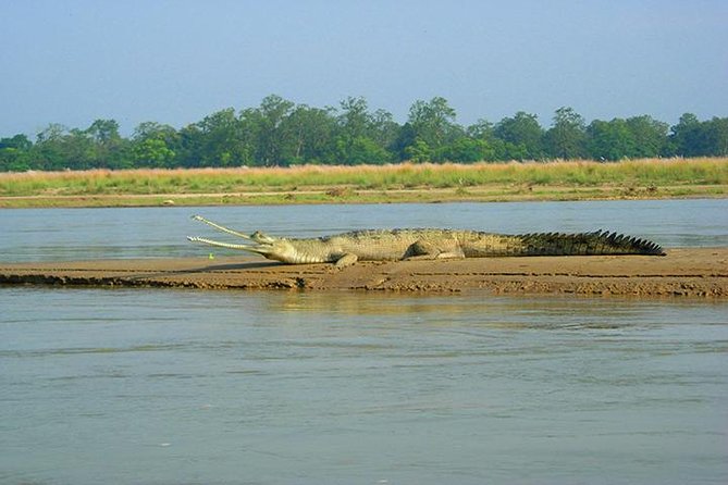 3-Day Chitwan Jungle Safari Tour From Kathmandu - Included and Excluded Services