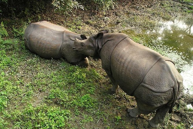 3-Day Chitwan Jungle Safari Tour From Kathmandu - Cancellation and Refund Policy