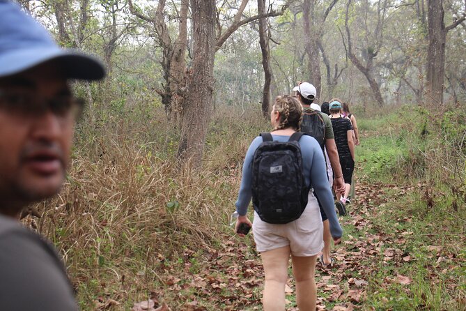 3-Day Chitwan National Park Jungle Safari Tour Package With Pick up - Itinerary Details