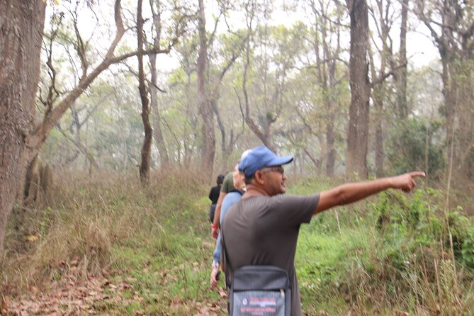 3-Day Chitwan National Park Jungle Safari Tour Package With Pick up - Accommodation Highlights