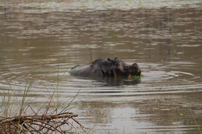 3-Day Chitwan National Park Jungle Safari Tour Package With Pick up - Safari Experiences