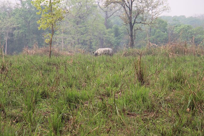 3-Day Chitwan National Park Jungle Safari Tour Package With Pick up - Cultural Immersion