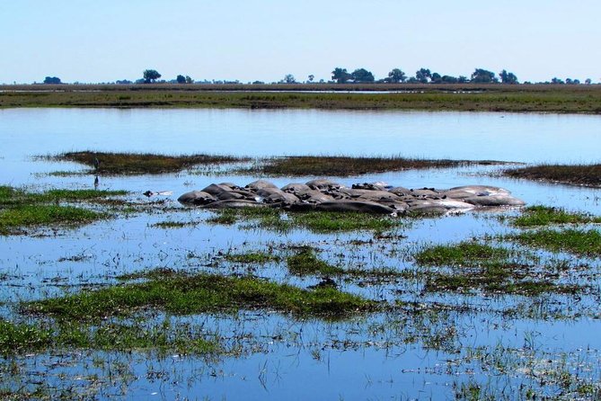 3 Day Chobe National Park Camping Safari - Camping Experience