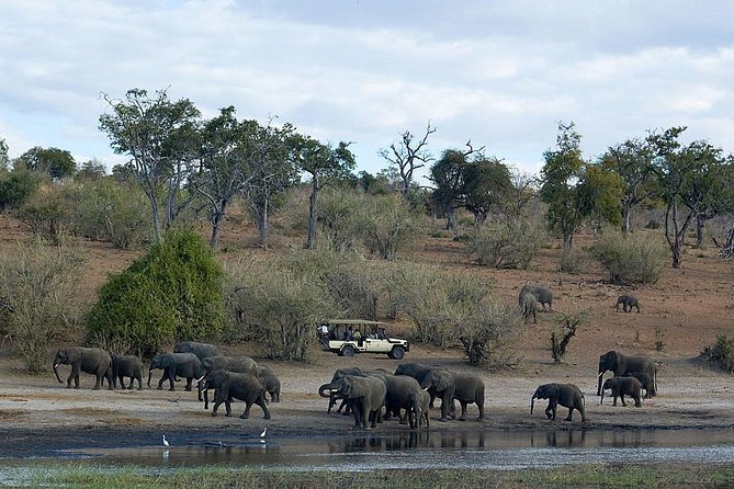 3 Day Chobe National Park Camping Safari - Tips and Recommendations