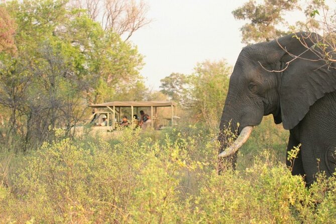 3-Day Chobe National Park Camping Safari From Victoria Falls - Accommodation and Camping