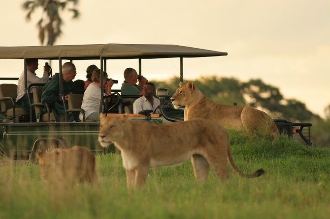 3-Day Chobe National Park Camping Safari From Victoria Falls - Traveler Feedback