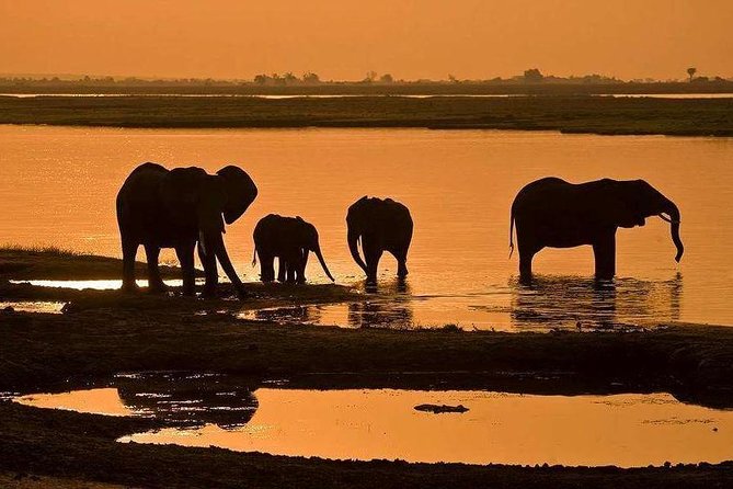 3 Day Chobe National Park Camping Tour - Inclusions and Logistics