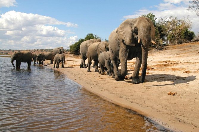 3 Day Chobe National Park Camping Tour - Accommodation Details