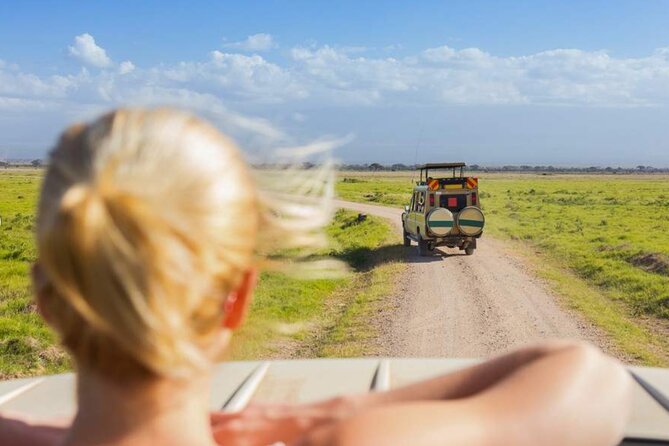 3 Day Classic, Guided Serengeti Safari - Booking and Cancellation