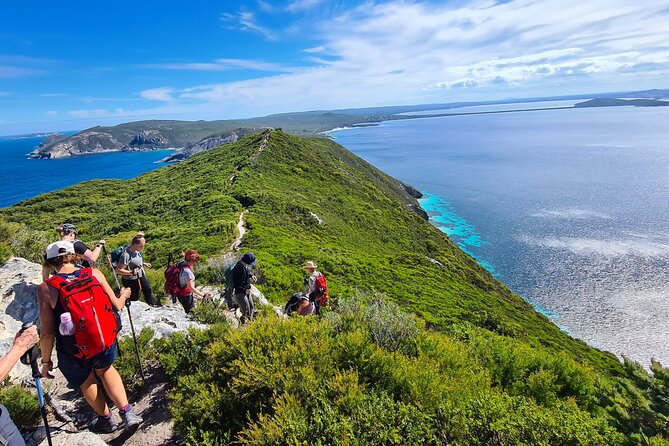 3-Day Coastal Natural Wonders and Hiking Tour in Albany - Hiking and Activities