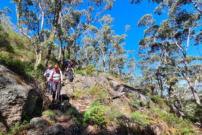 3-Day Coastal Natural Wonders and Hiking Tour in Albany - Health and Safety Information