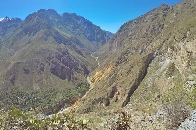 3-Day Colca Canyon Trekking From Arequipa - Day 2: Exploring the Oasis