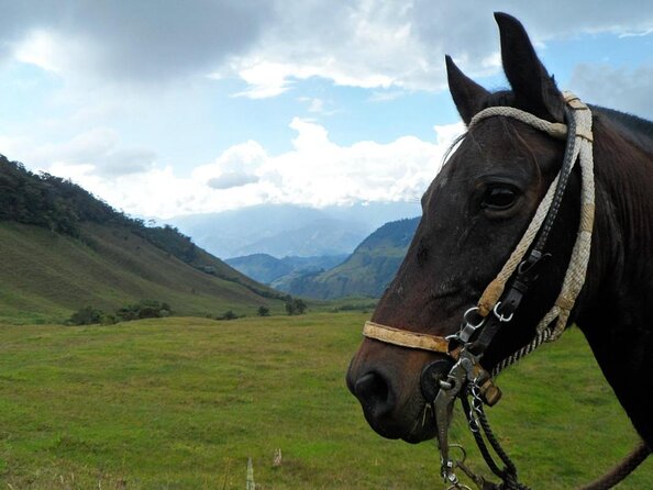 3-Day Colonial Coffee Trail - Key Points