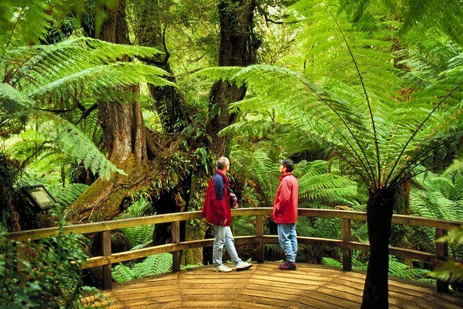 3 Day Combo: Great Ocean Road, Penguin Parade and FREE City Tour - FAQs